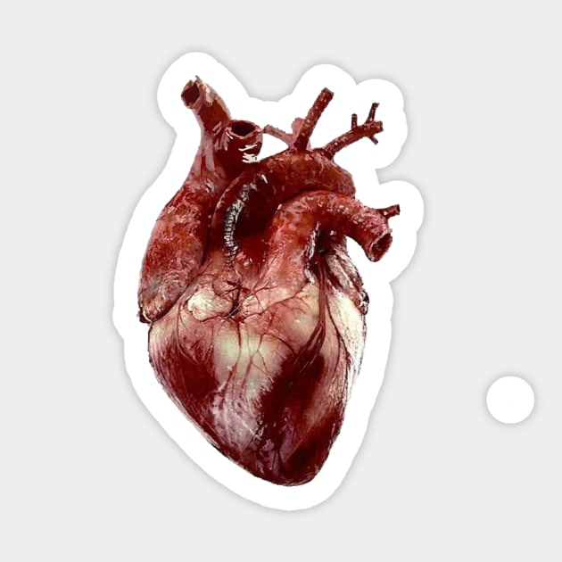 Realistic Heart small Sticker by Organoleptic